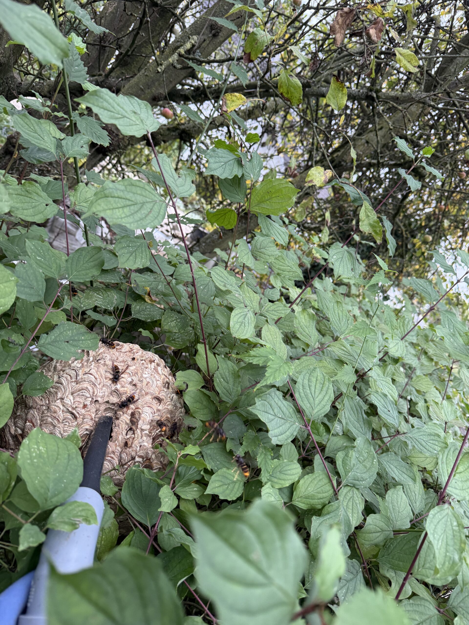 Einsatzbild 1